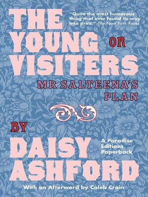 cover image of The Young Visiters